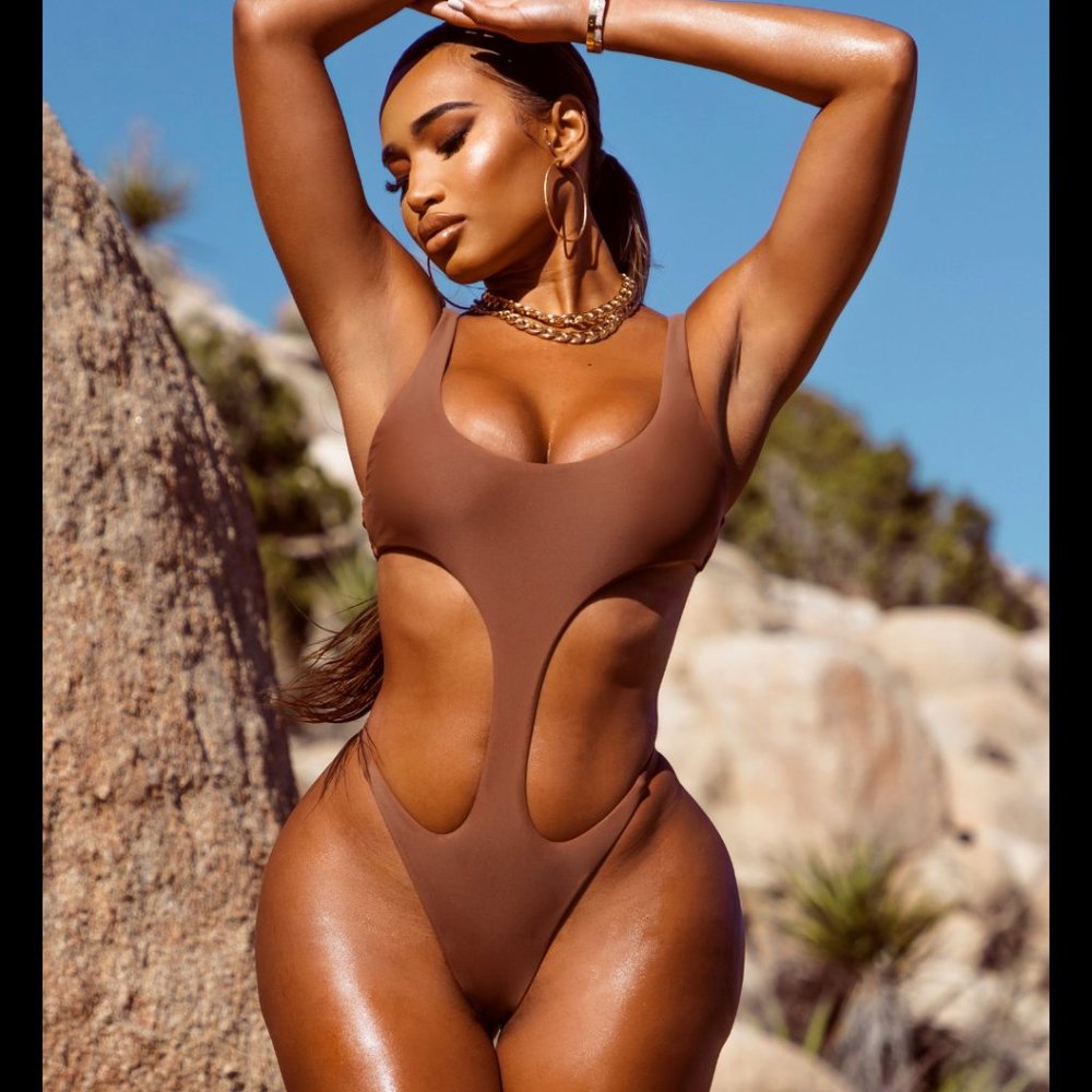 Martine One Piece - Mocha NWT